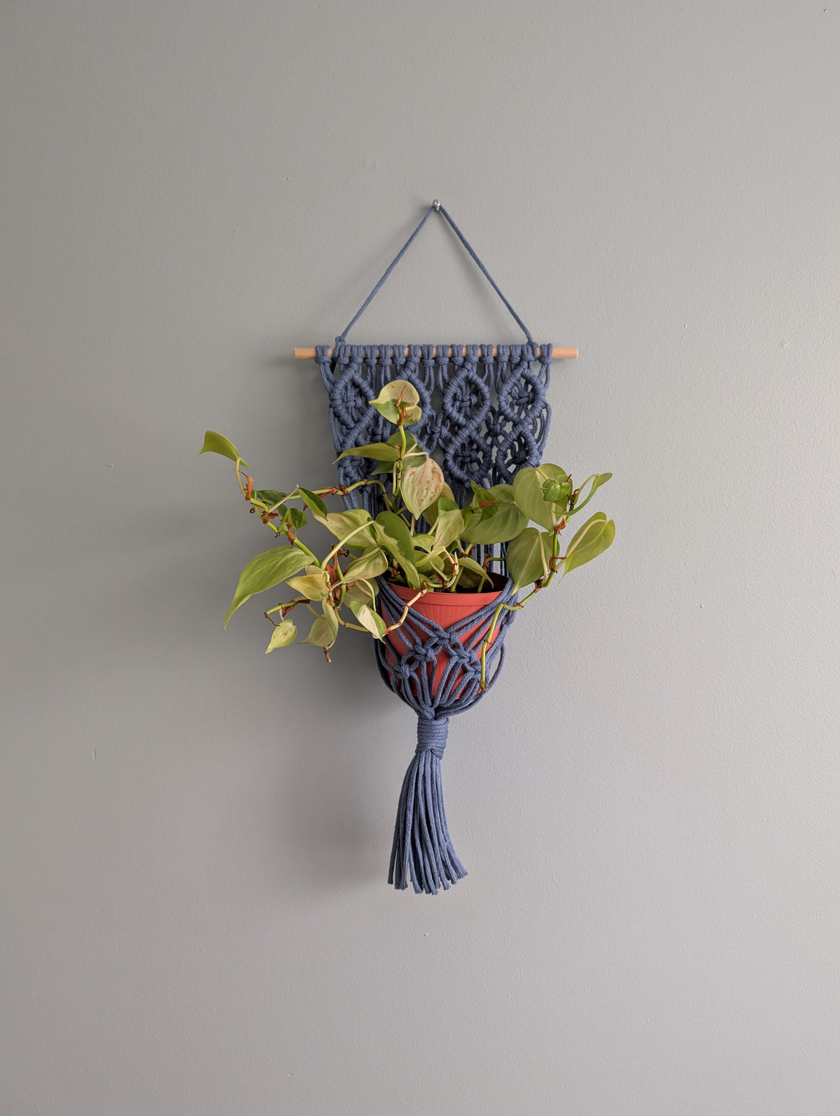Macrame Wall Plant Hanger Pattern