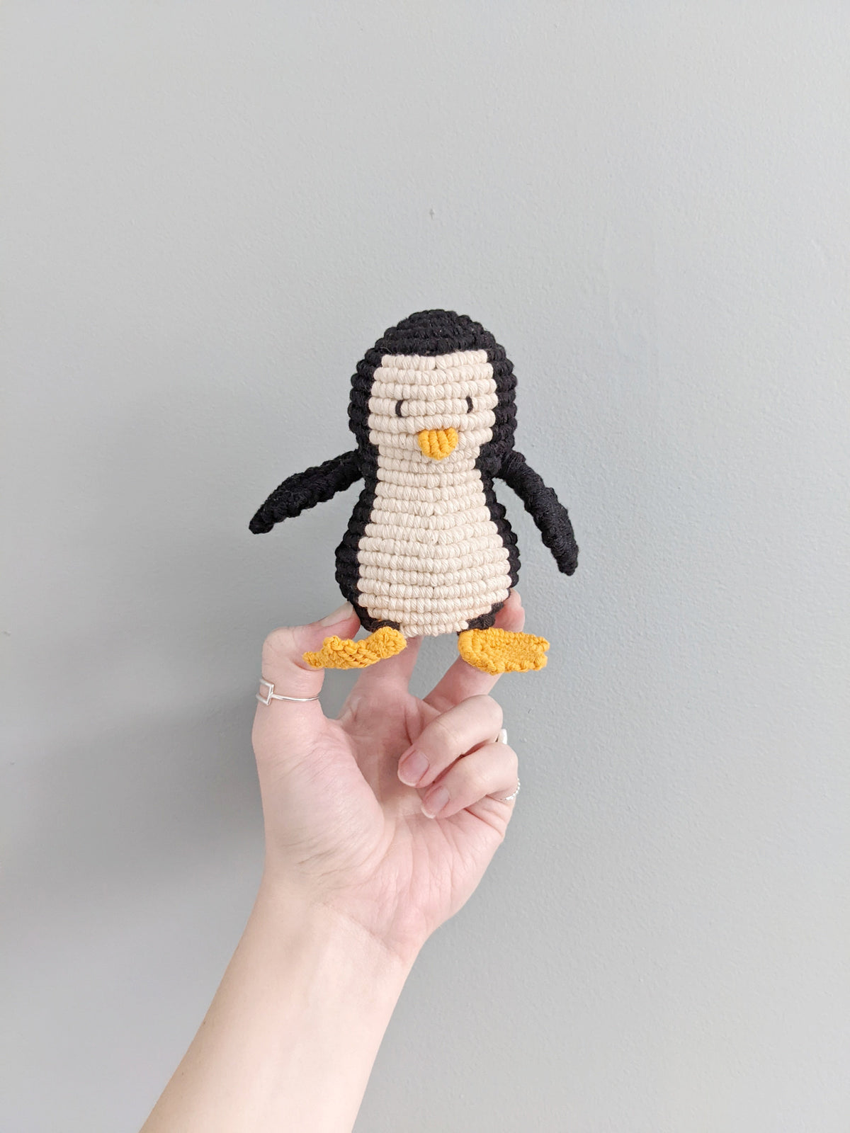 Domestika Kit - Penguin Materials