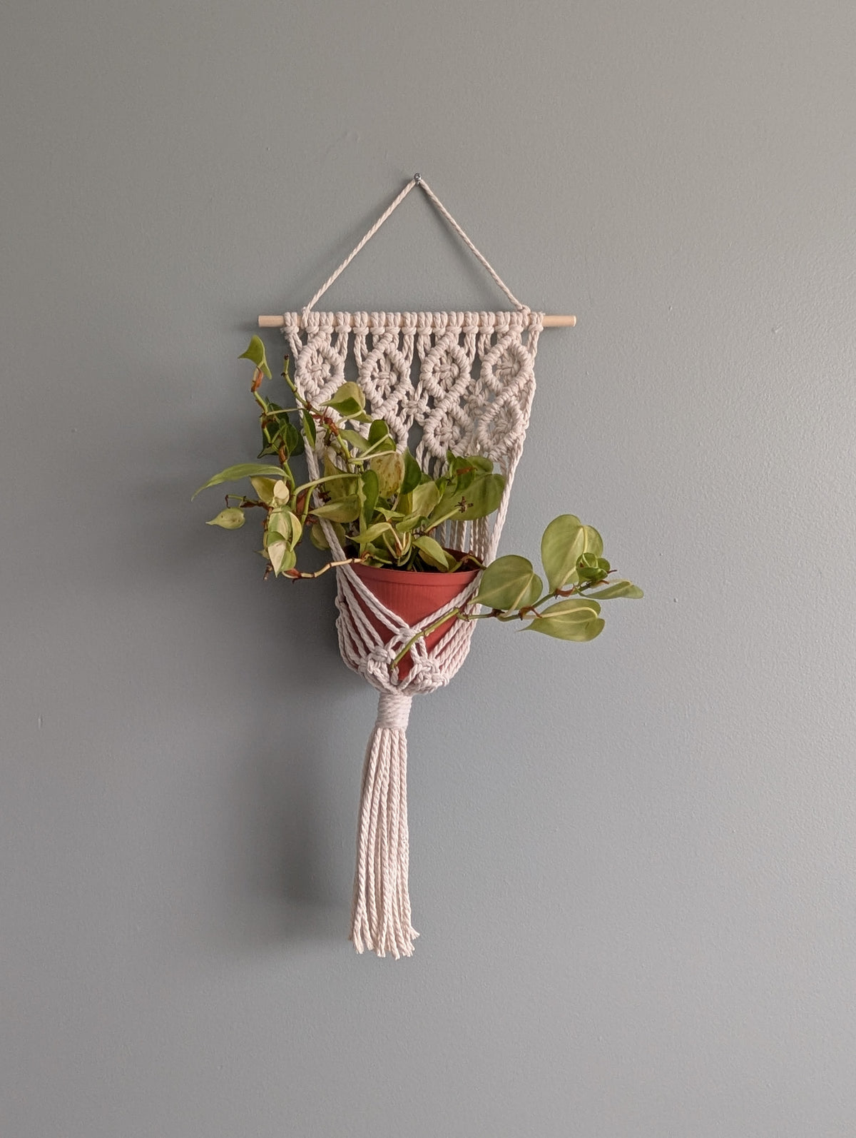 Macrame Wall Plant Hanger Pattern