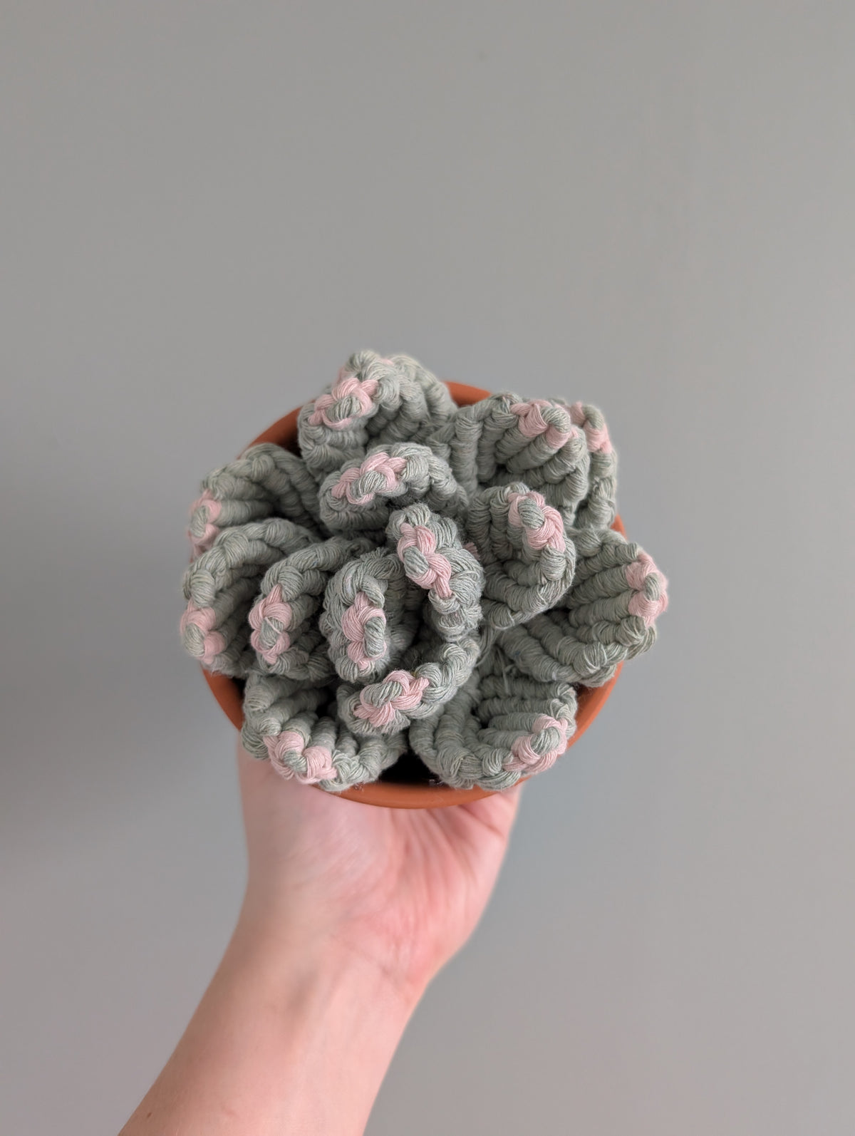 Macrame Large 3D Succulent Pattern