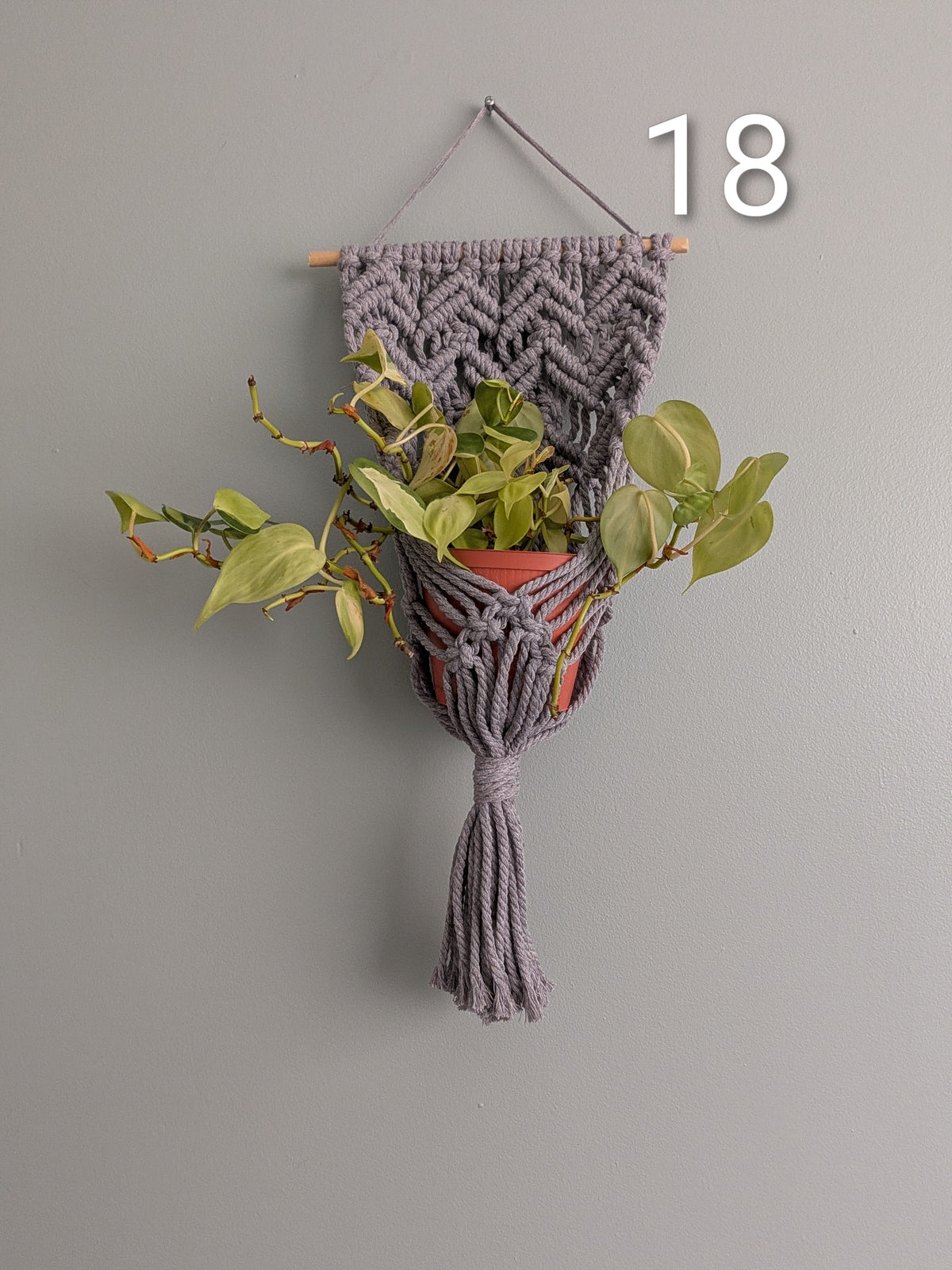 Macrame Basket Wall Plant Hangers
