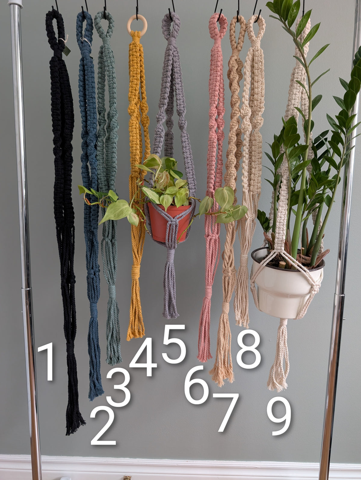 Macrame Ceiling Plant hanger