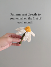 Load image into Gallery viewer, Macrame 2026 Year of Patterns
