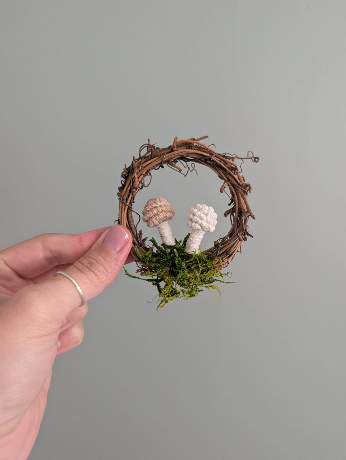 Mini Mushroom Scapes on Vine Frames