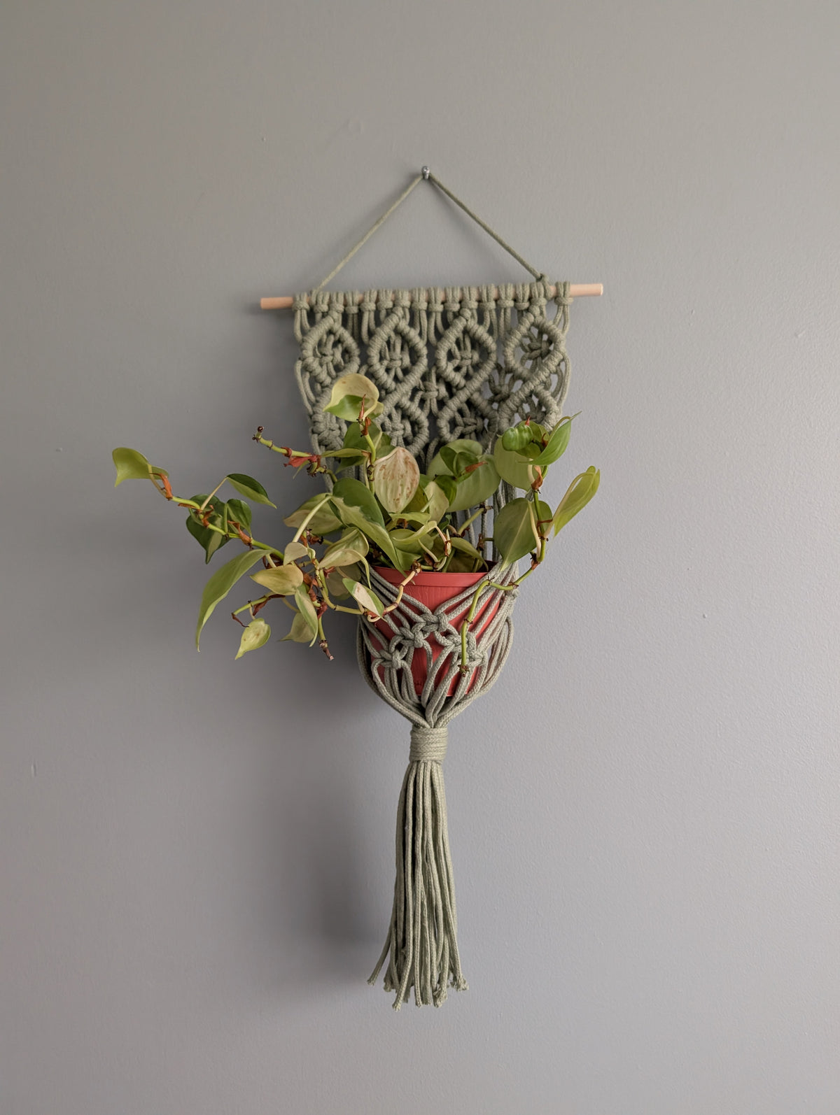 Macrame Wall Plant Hanger Pattern