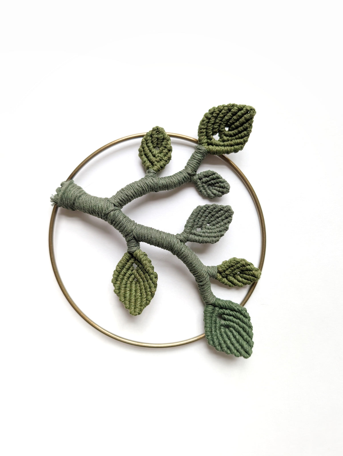 Mini Leafy Frames - Mushrooms & Dried Florals - Option 1