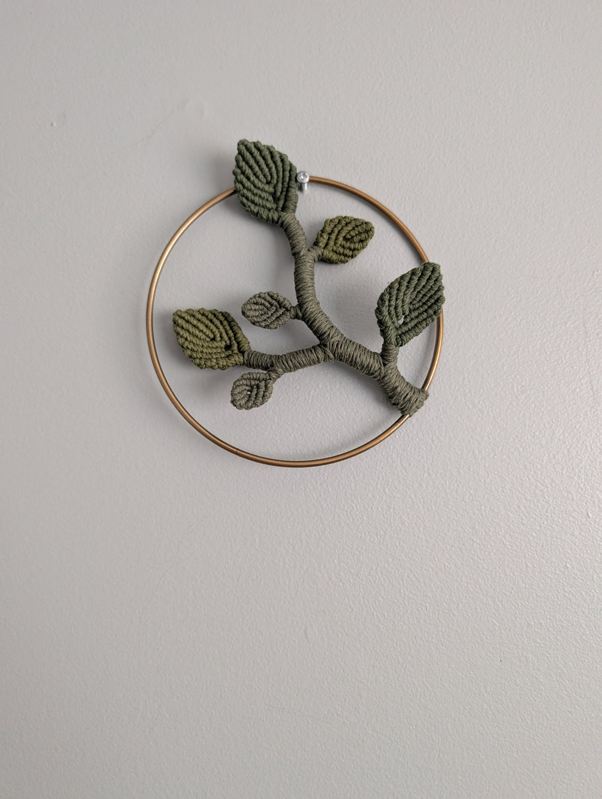 Mini Leafy Frames - Mushrooms & Dried Florals - Option 3