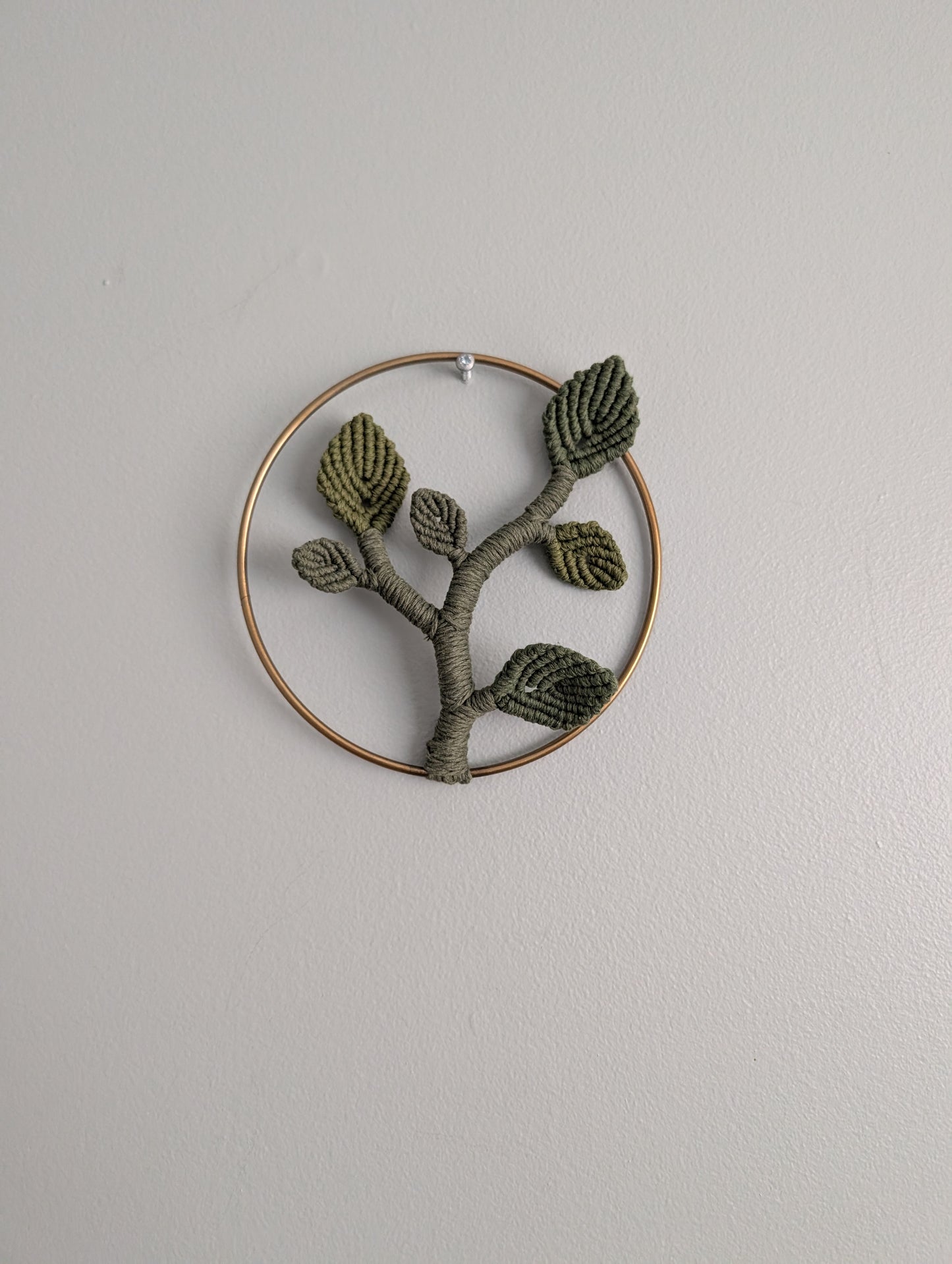 Mini Leafy Frames - Mushrooms & Dried Florals - Option 3