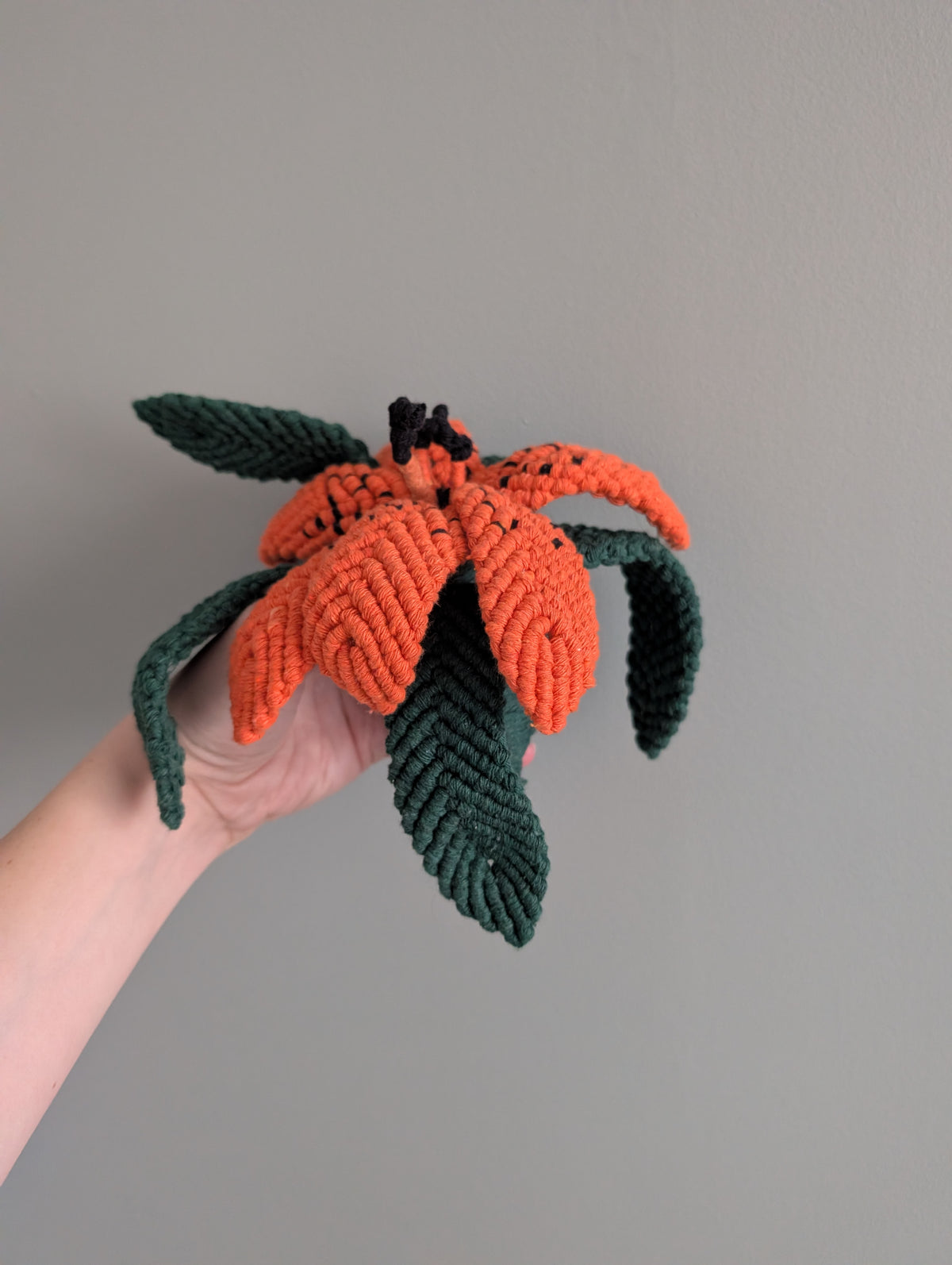 October - Garden Lily