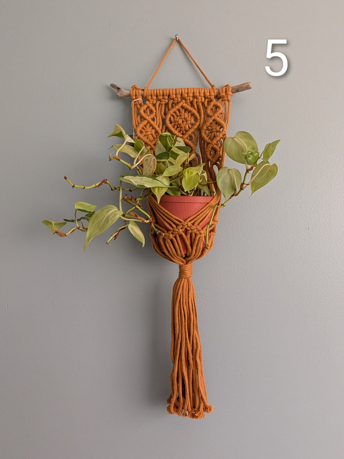 Macrame Basket Wall Plant Hangers