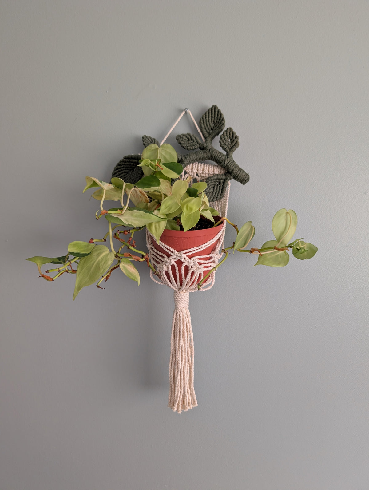 Macrame Wall Plant hanger with Leaves