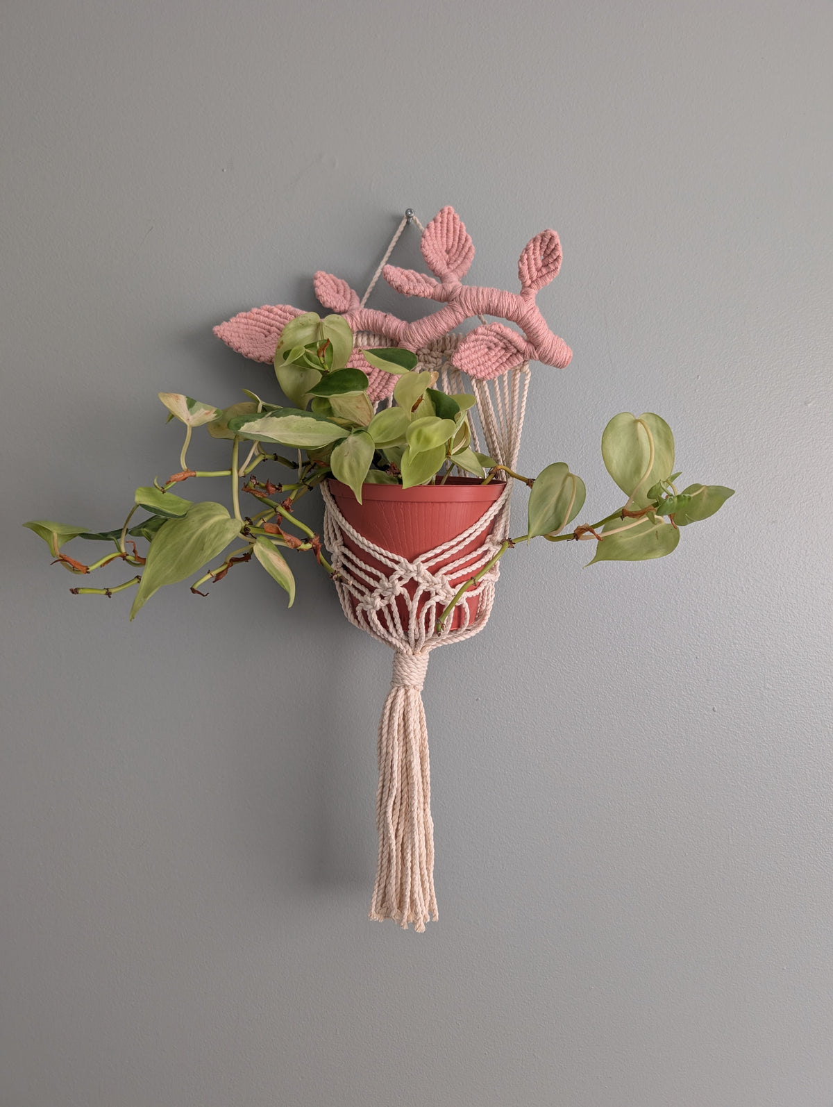 Macrame Wall Plant hanger with Leaves
