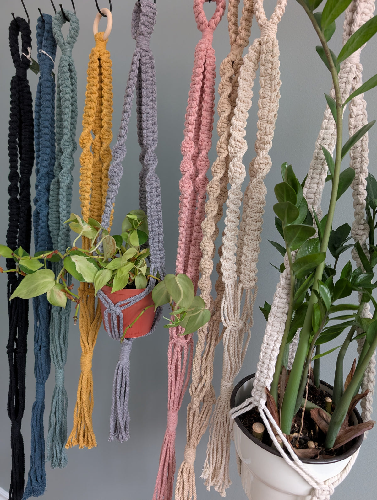 Macrame Ceiling Plant hanger