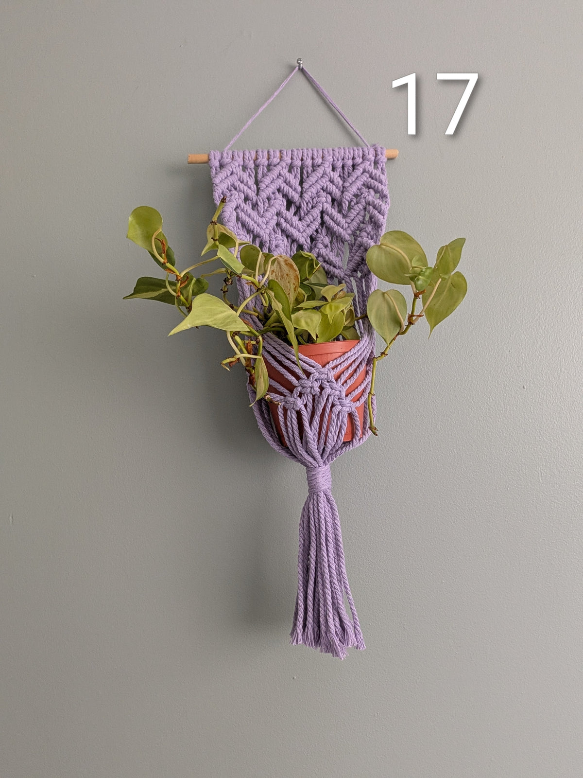 Macrame Basket Wall Plant Hangers