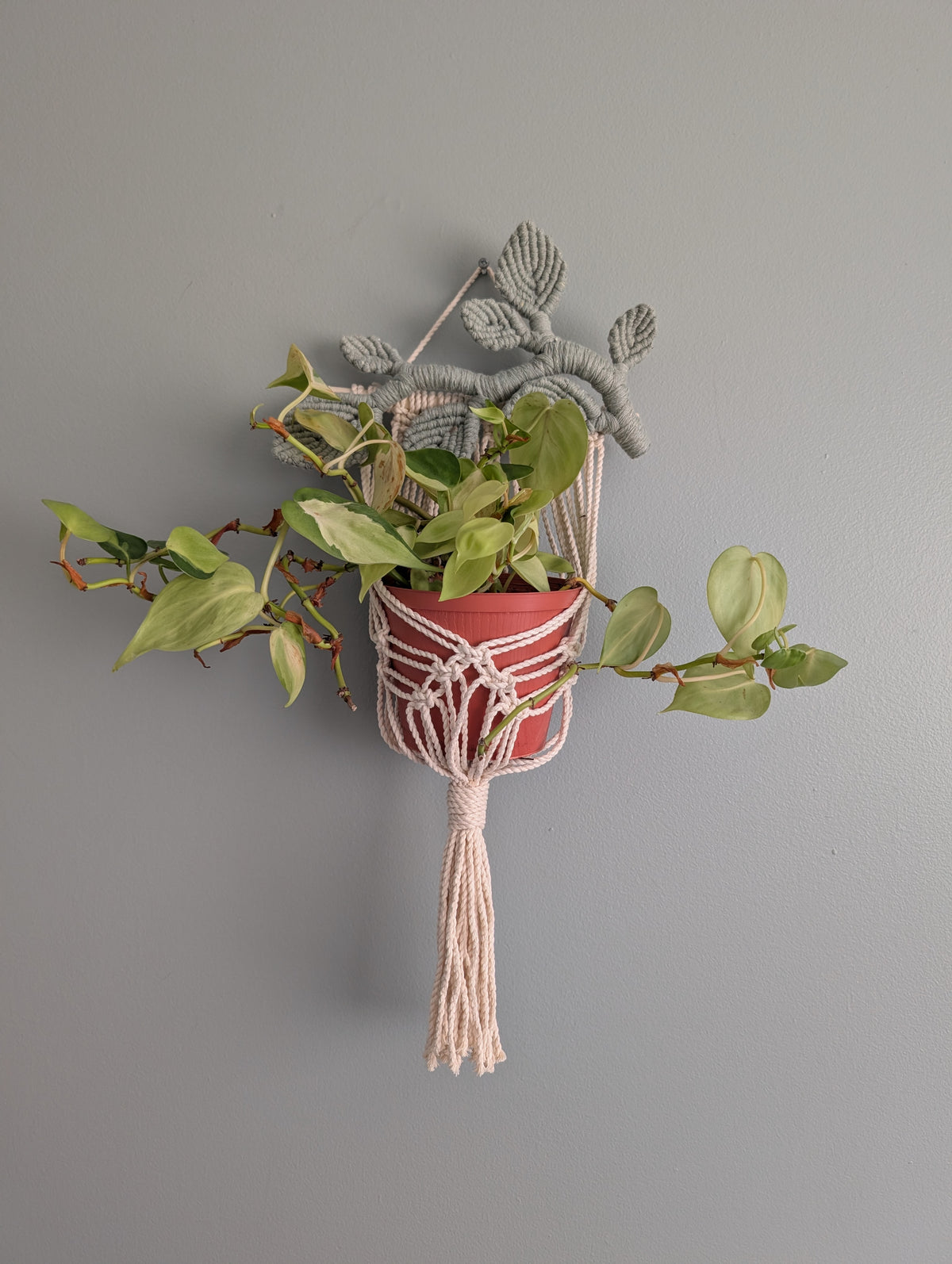 Macrame Wall Plant hanger with Leaves
