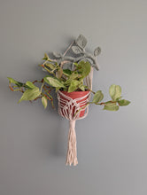 Load image into Gallery viewer, Macrame Wall Plant hanger with Leaves
