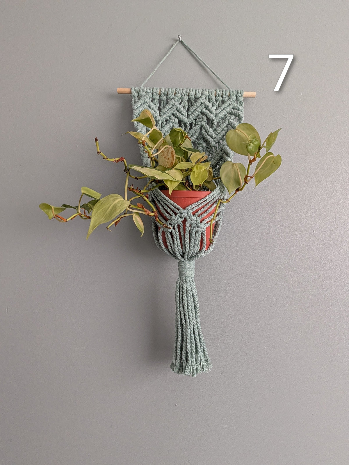 Macrame Basket Wall Plant Hangers