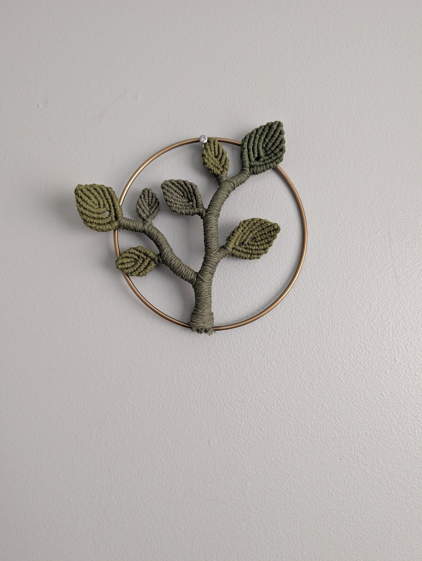 Mini Leafy Frames - Mushrooms & Dried Florals - Option 1