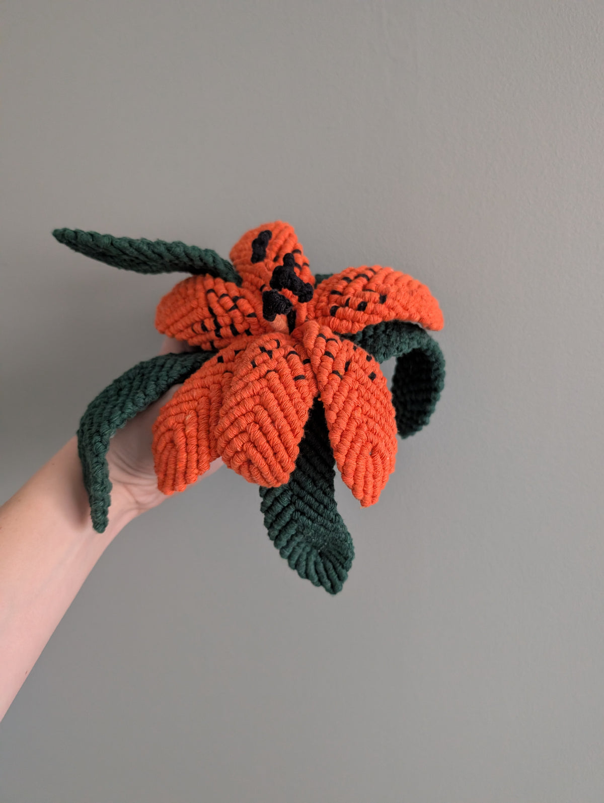 October - Garden Lily