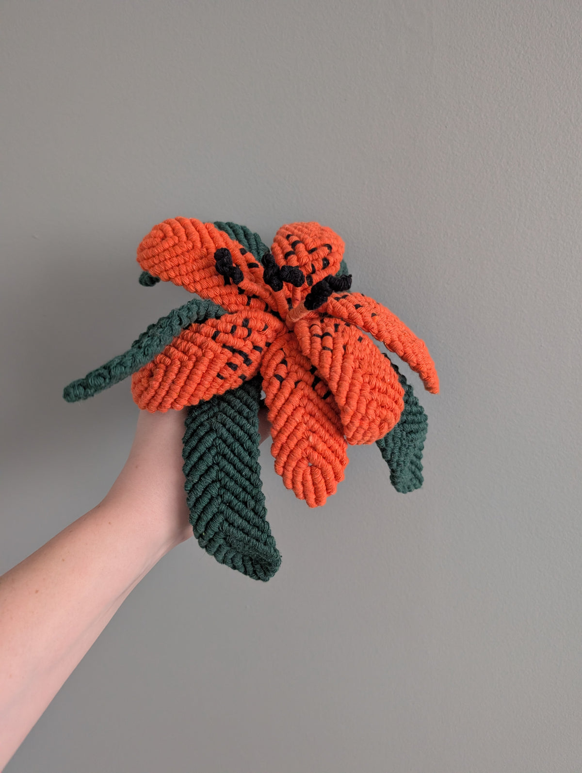 October - Garden Lily