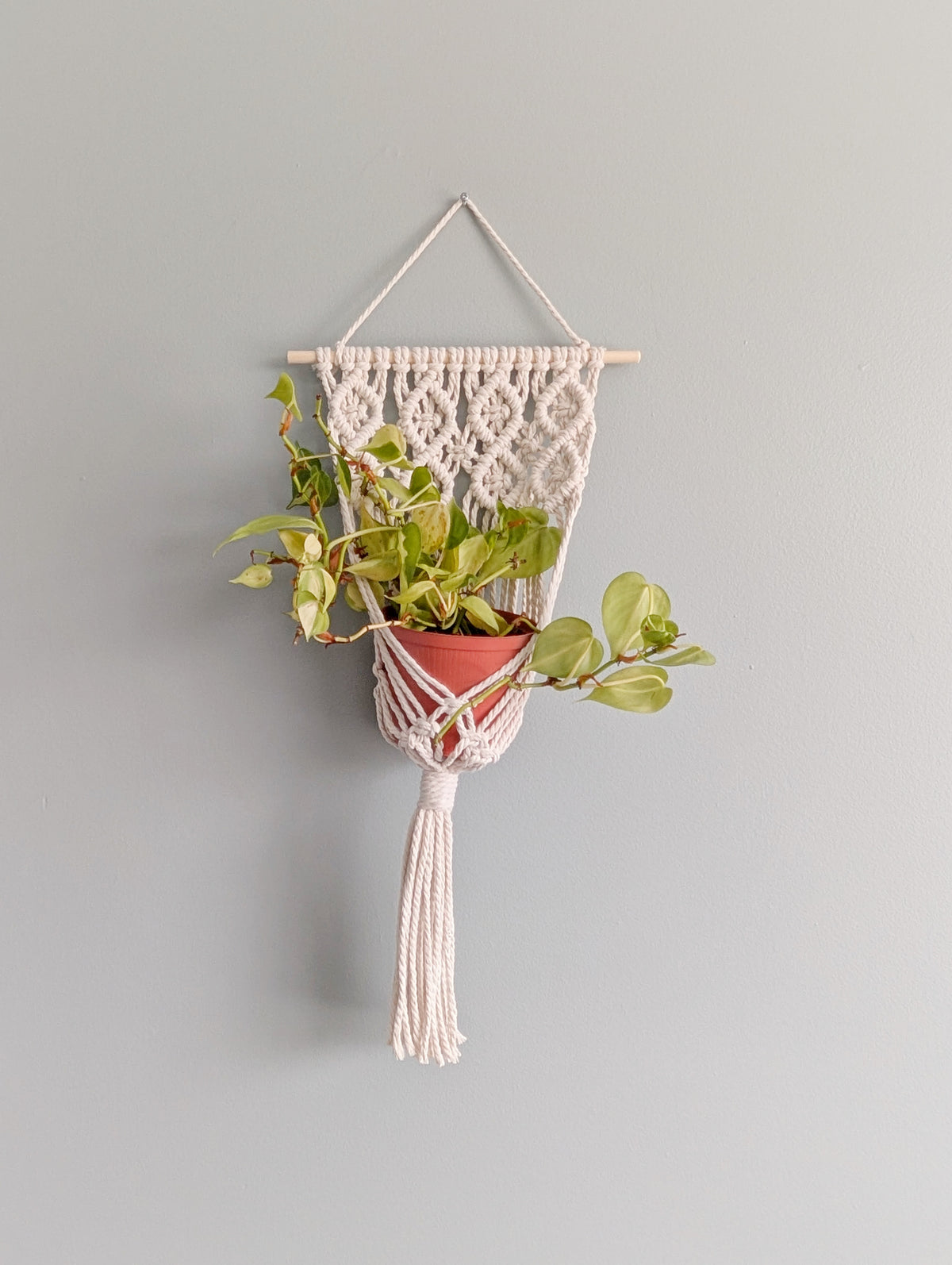 Macrame Wall Plant Hanger Pattern