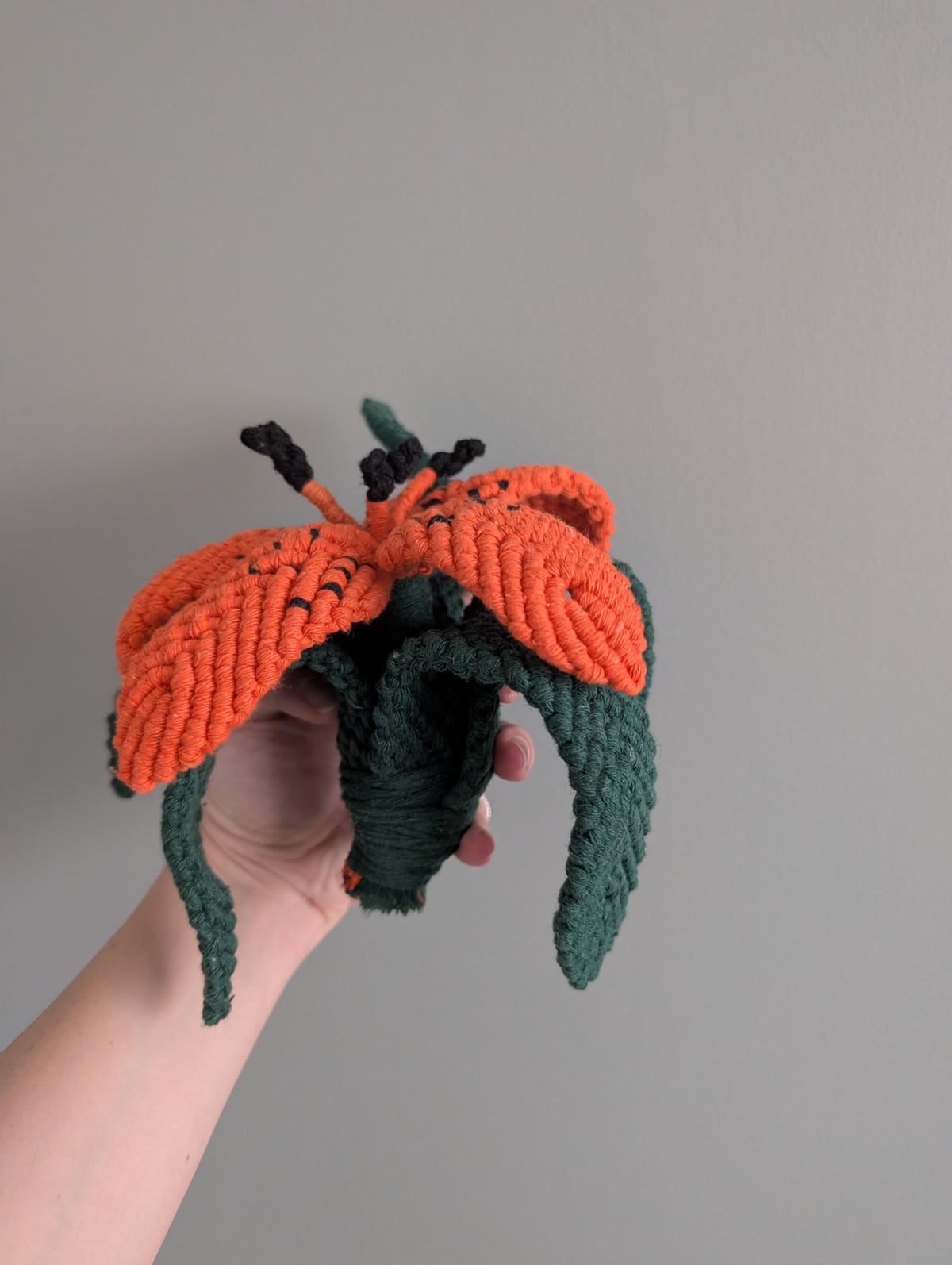 October - Garden Lily