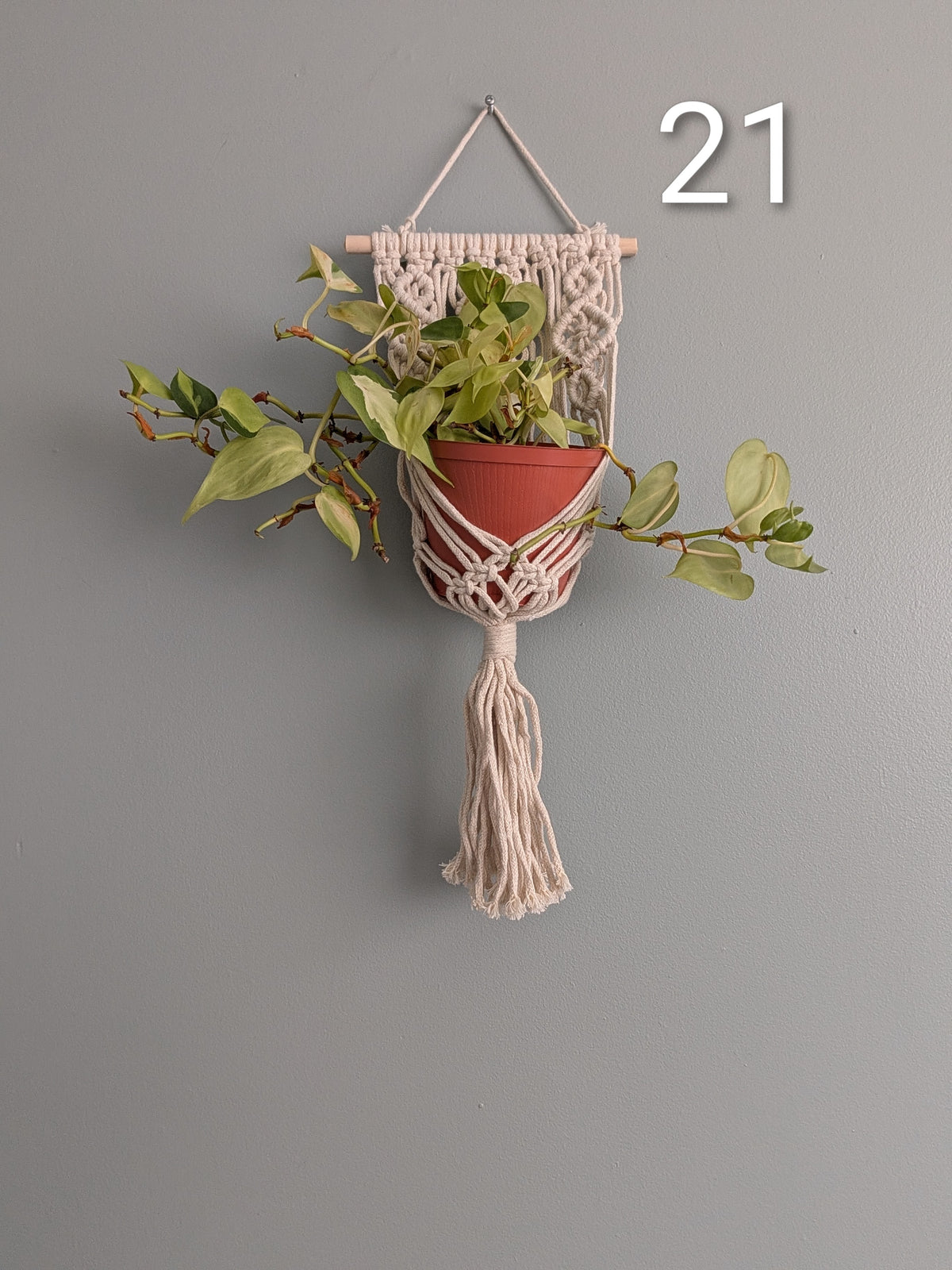 Macrame Basket Wall Plant Hangers