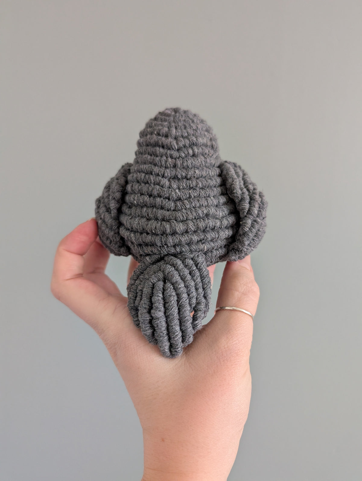 Macrame Robin Pattern / Kit