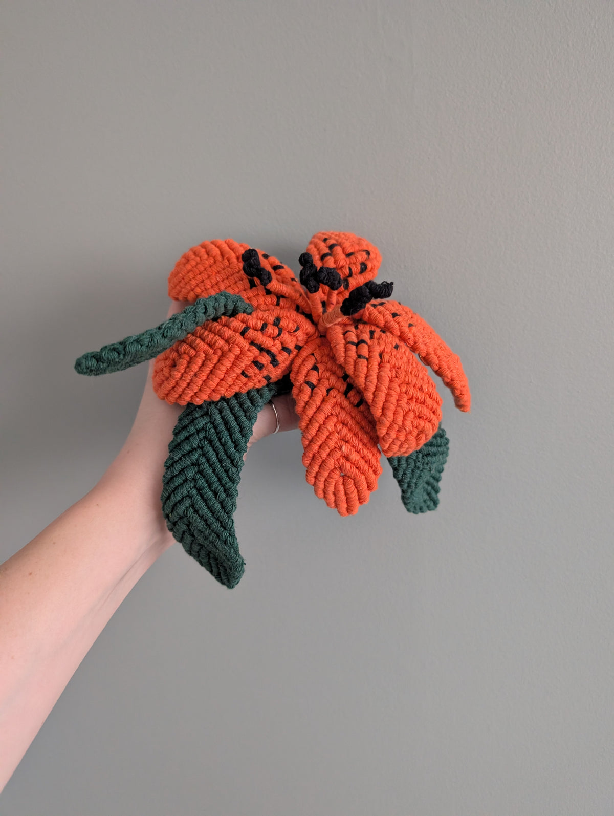 October - Garden Lily