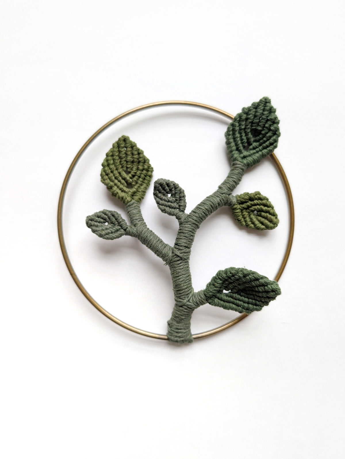 Mini Leafy Frames - Mushrooms & Dried Florals - Option 3