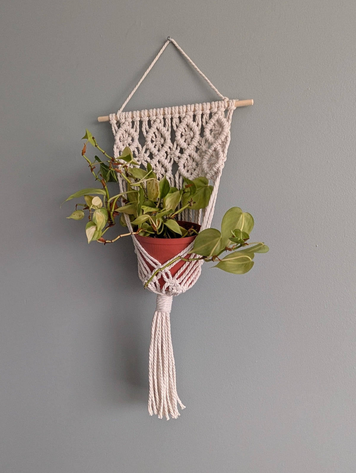 Macrame Wall Plant Hanger Pattern