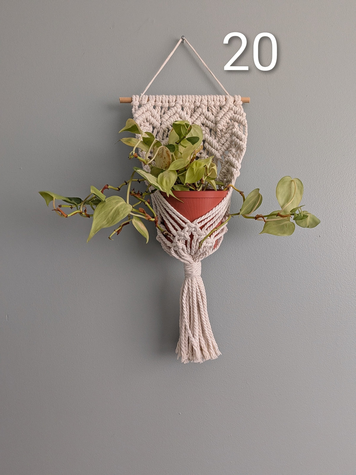 Macrame Basket Wall Plant Hangers