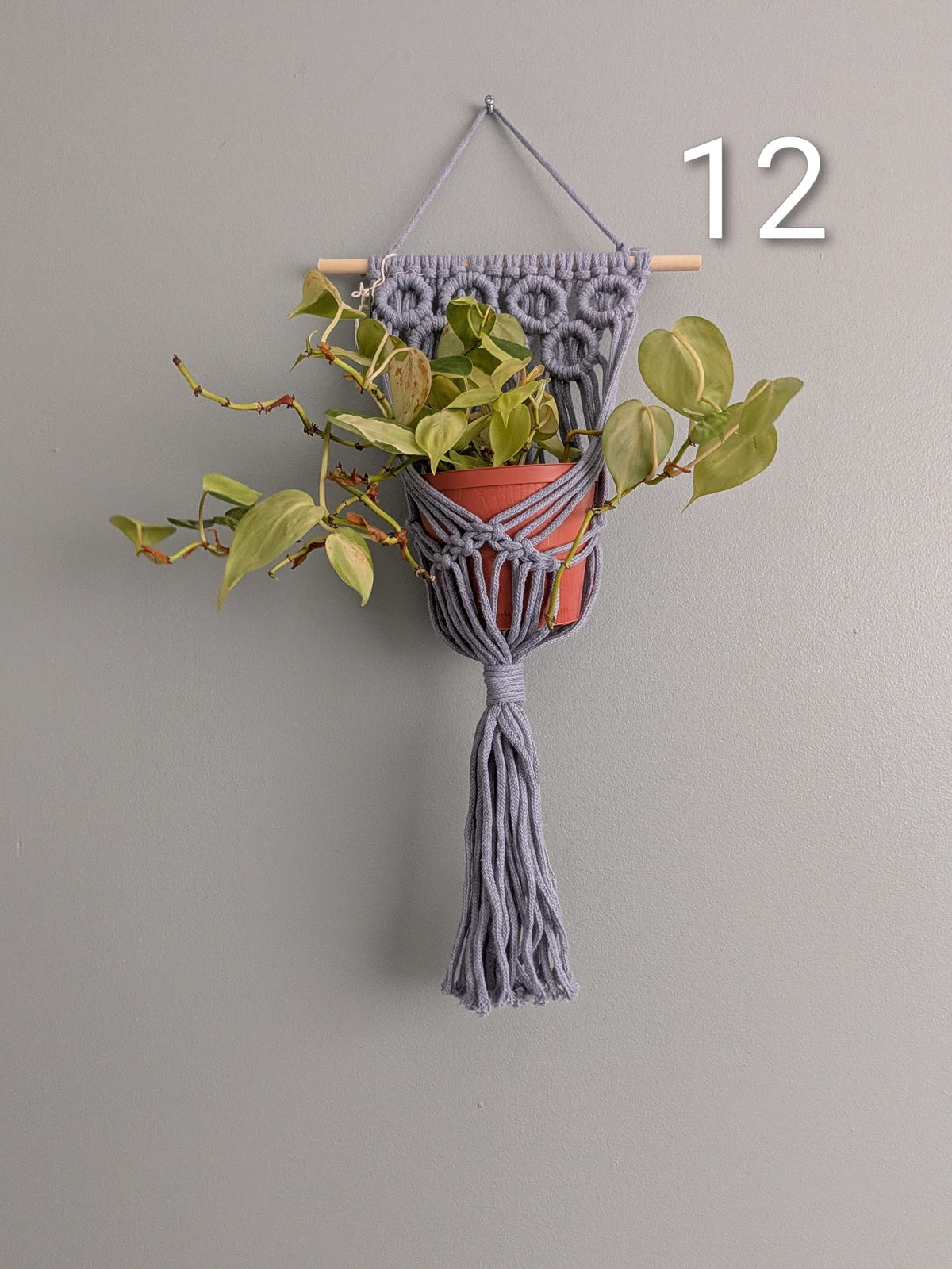 Macrame Basket Wall Plant Hangers