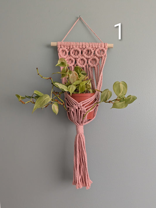 Macrame Basket Wall Plant Hangers