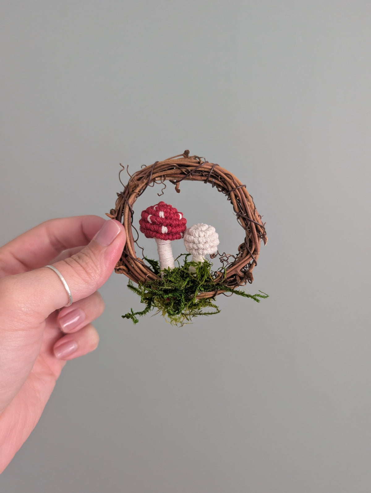 Mini Mushroom Scapes on Vine Frames