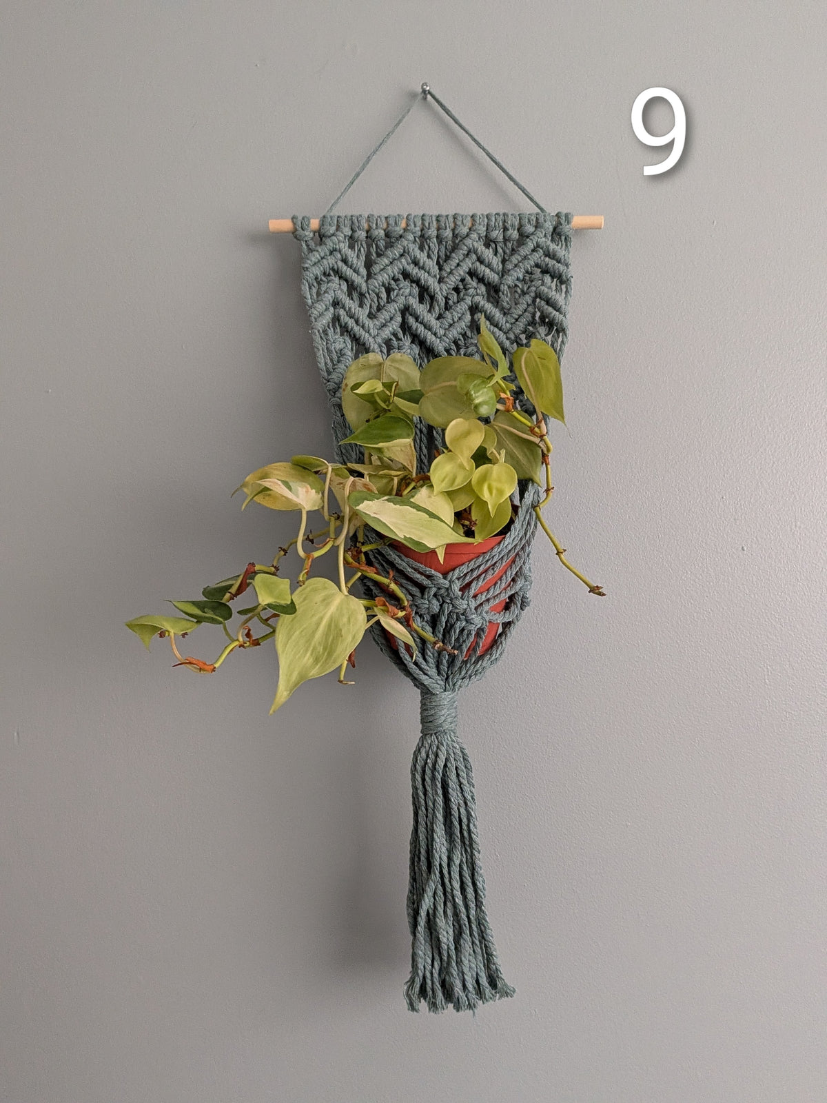 Macrame Basket Wall Plant Hangers