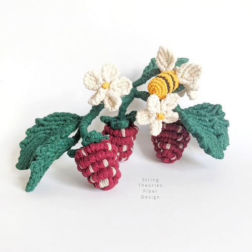 Macrame Strawberry Vine Sculpture String Theories Fiber Design