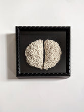 Load image into Gallery viewer, Macrame Brain String Theories Fiber Design
