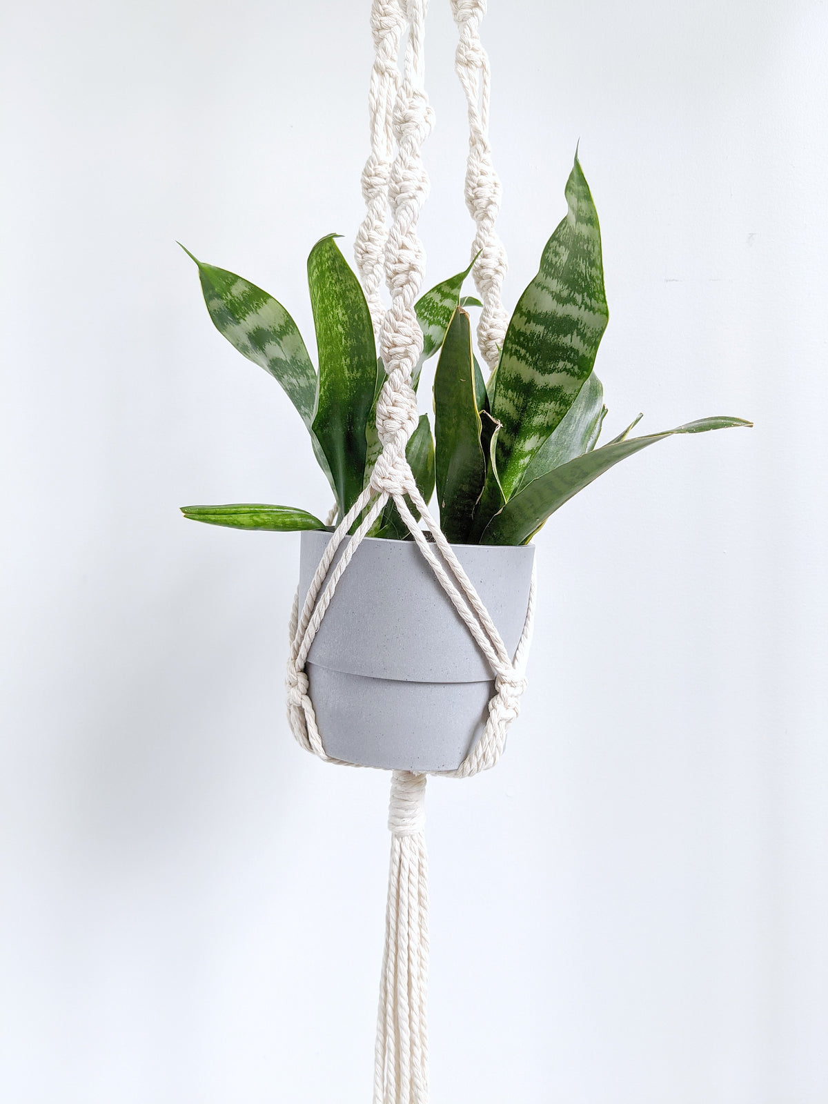 Macrame Plant Hanger Kit