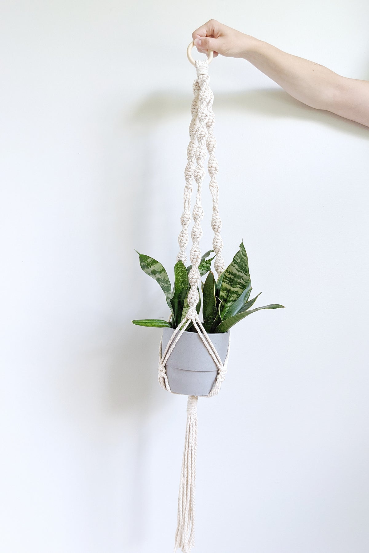 Macrame Plant Hanger Kit