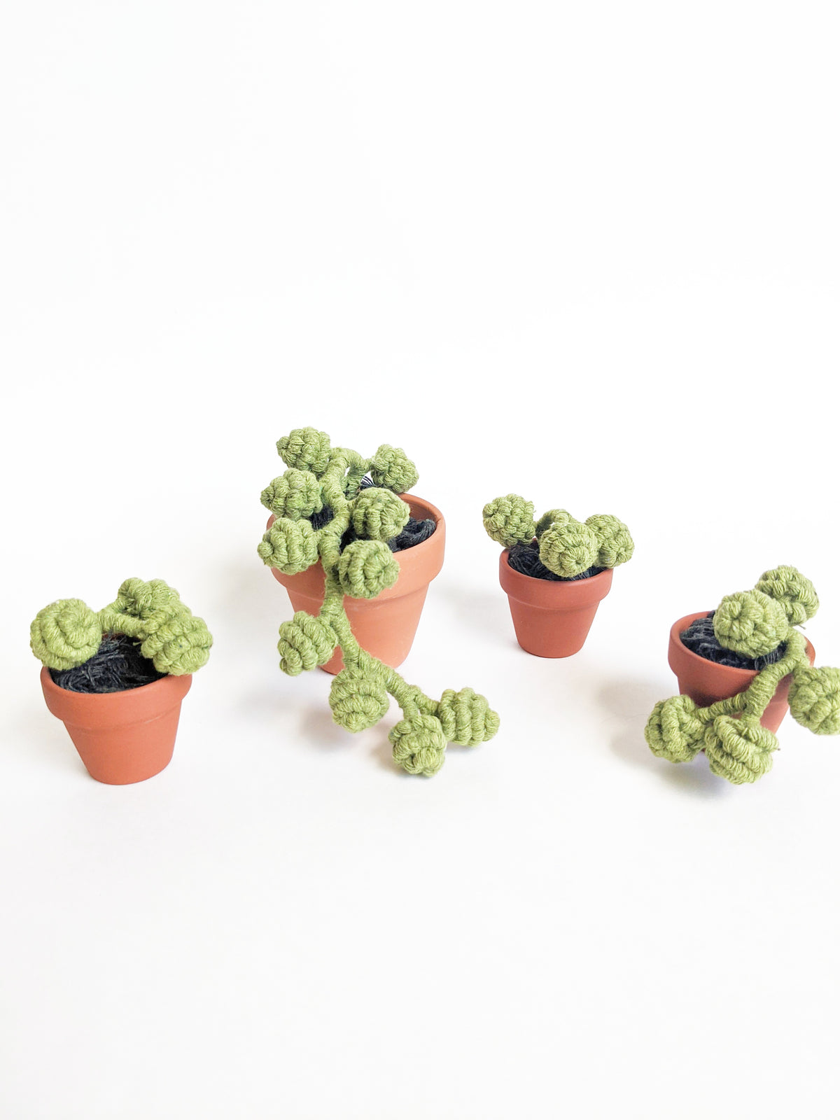 Macrame Succulent String of Pearls in Pot Sculpture String Theories Fiber Design