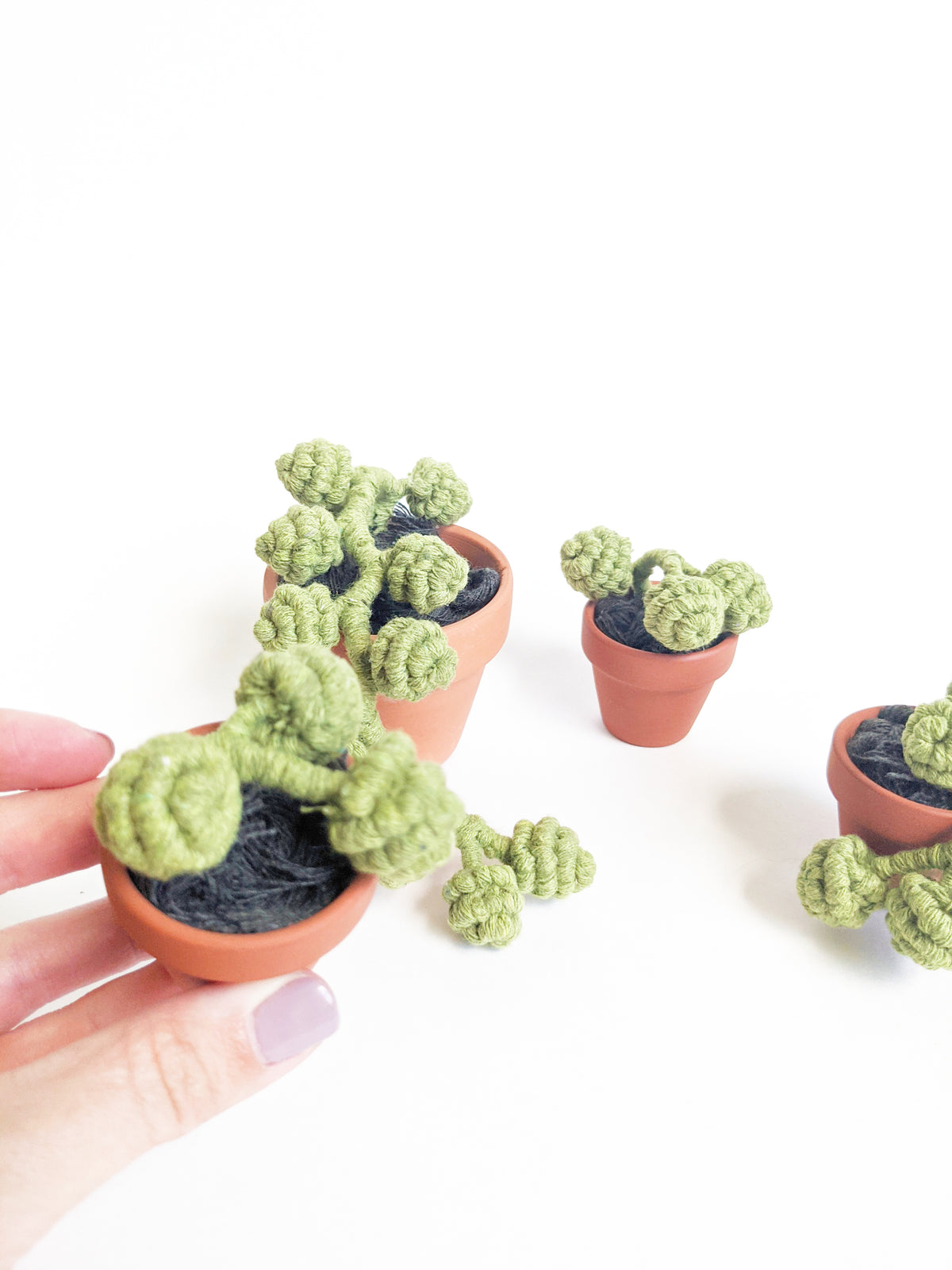 Macrame Succulent String of Pearls in Pot Sculpture String Theories Fiber Design