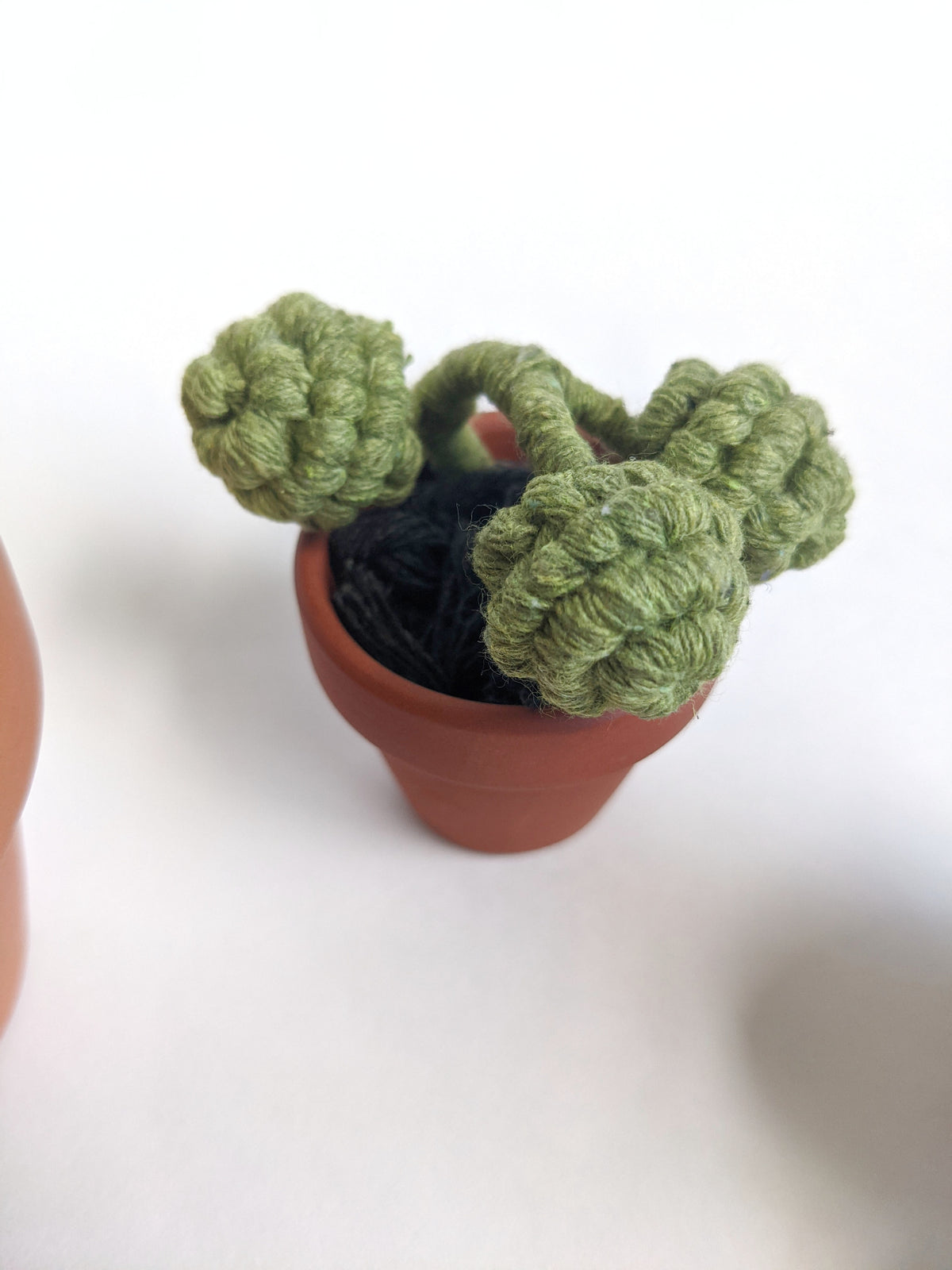 Macrame Succulent String of Pearls in Pot Sculpture String Theories Fiber Design
