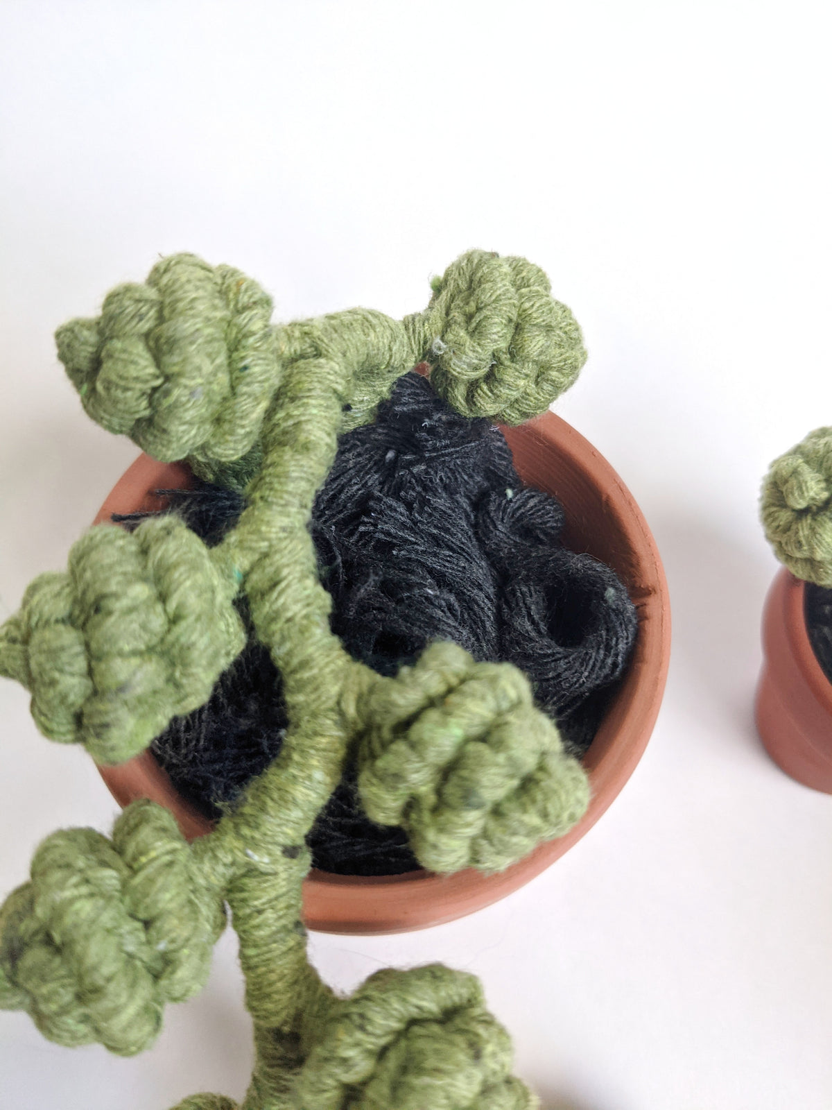 Macrame Succulent String of Pearls in Pot Sculpture String Theories Fiber Design