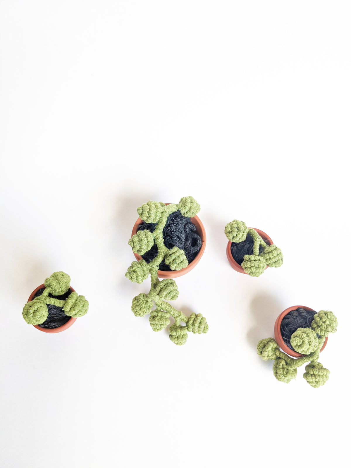 Macrame Succulent String of Pearls in Pot Sculpture String Theories Fiber Design