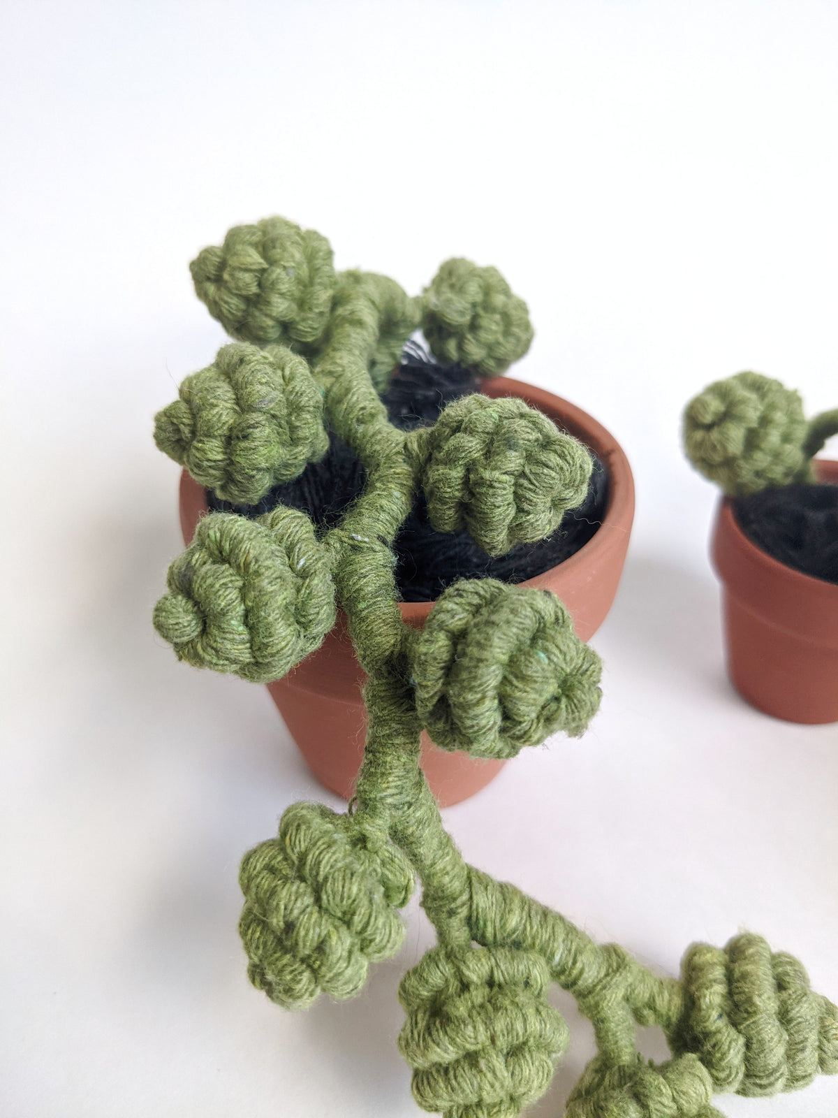 Macrame Succulent String of Pearls in Pot Sculpture String Theories Fiber Design