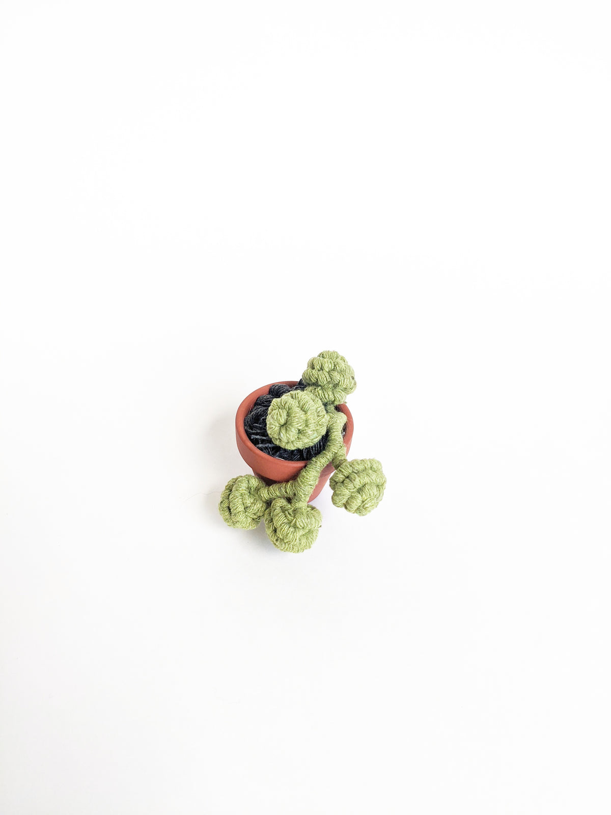 Macrame Succulent String of Pearls in Pot Sculpture String Theories Fiber Design