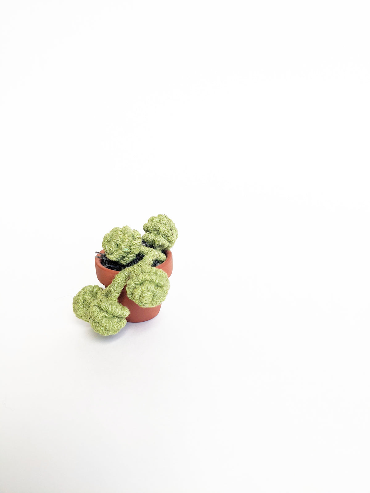 Macrame Succulent String of Pearls in Pot Sculpture String Theories Fiber Design