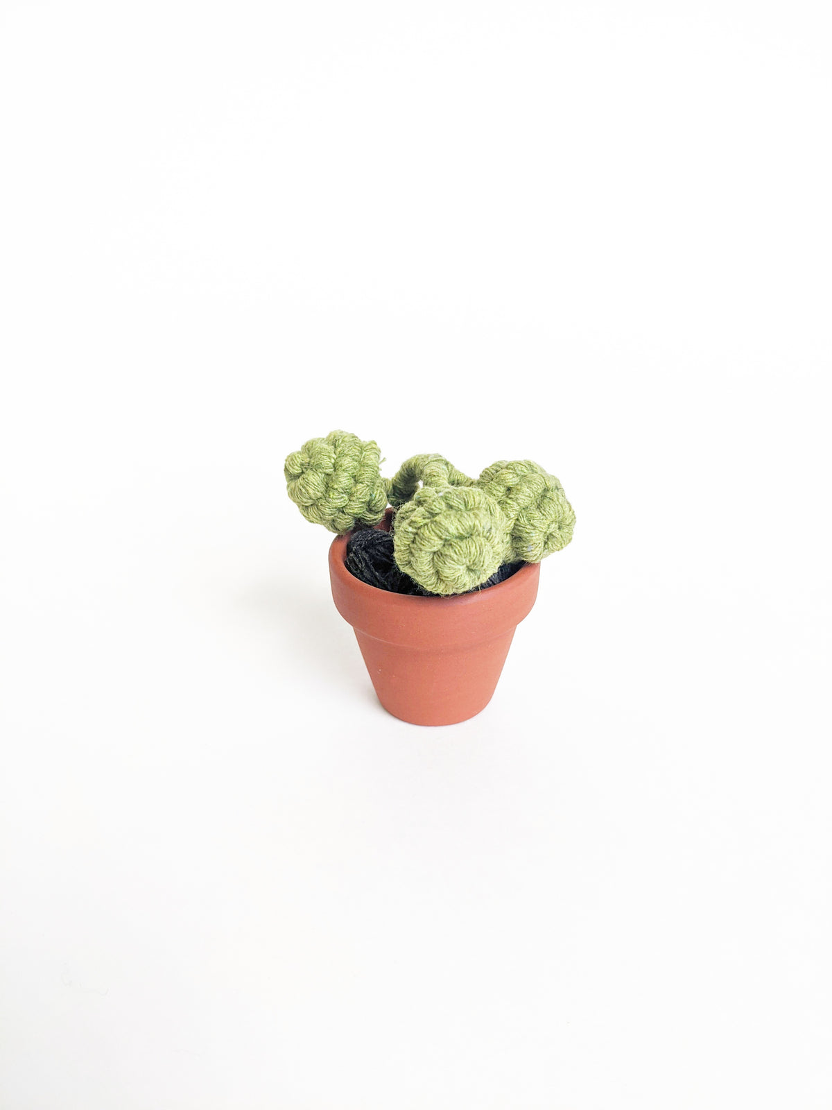 Macrame Succulent String of Pearls in Pot Sculpture String Theories Fiber Design