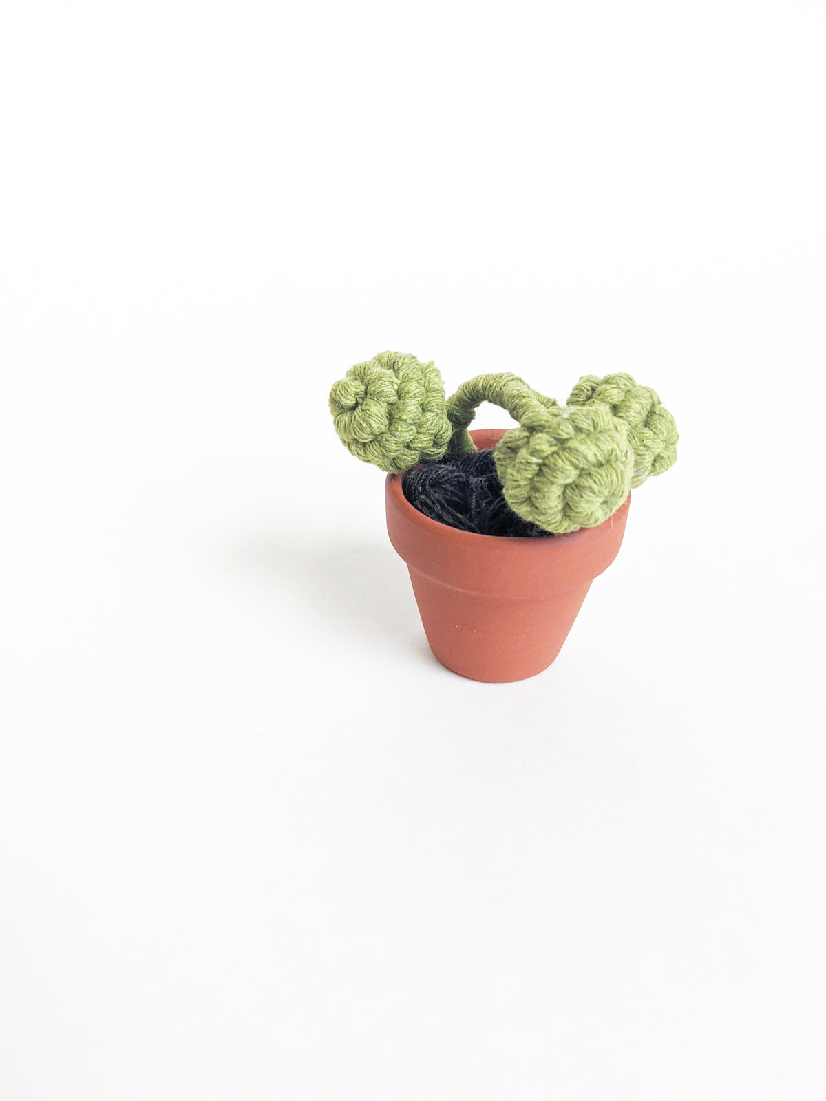 Macrame Succulent String of Pearls in Pot Sculpture String Theories Fiber Design